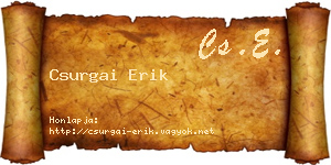 Csurgai Erik névjegykártya